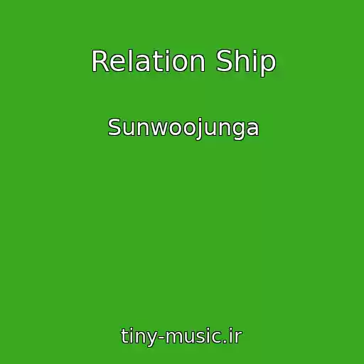کاور آهنگ Relation Ship از Sunwoojunga