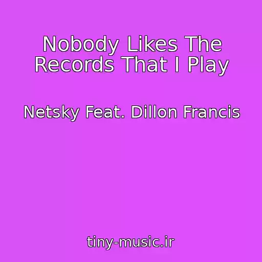 کاور آهنگ Nobody Likes The Records That I Play از Netsky Feat. Dillon Francis