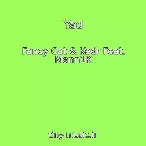 کاور آهنگ Yad از Fancy Cat & Kedr Feat. Mann1K