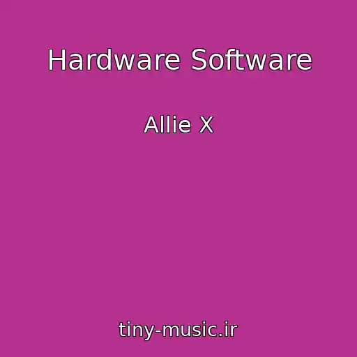کاور آهنگ Hardware Software از Allie X