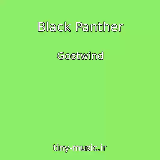 کاور آهنگ Black Panther از Gostwind
