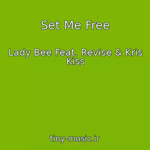 کاور آهنگ Set Me Free از Lady Bee Feat. Revise & Kris Kiss