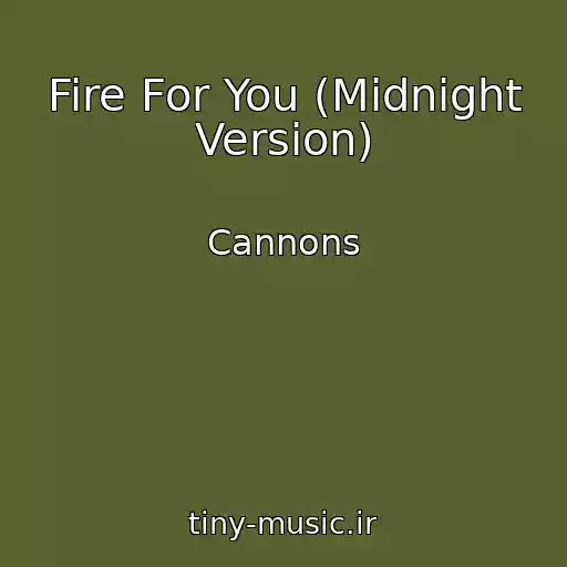 کاور آهنگ Fire For You (Midnight Version) از Cannons