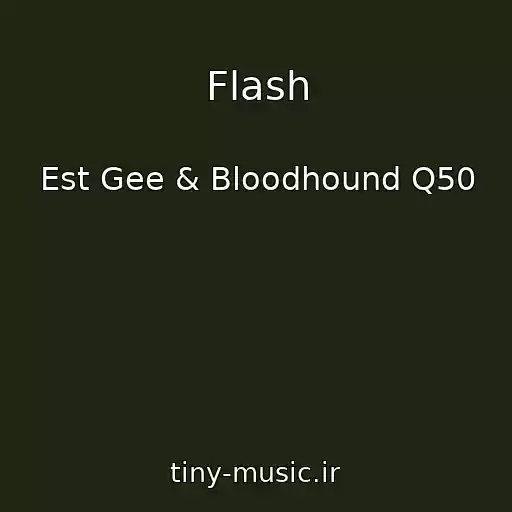 کاور آهنگ Flash از Est Gee & Bloodhound Q50