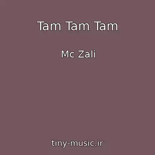 کاور آهنگ Tam Tam Tam از Mc Zali
