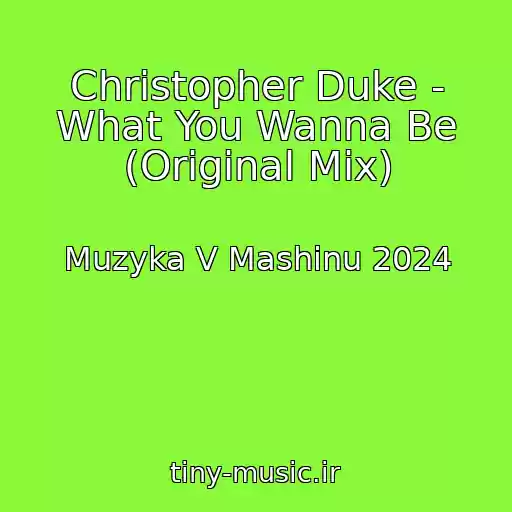 کاور آهنگ Christopher Duke - What You Wanna Be (Original Mix) از Muzyka V Mashinu 2024