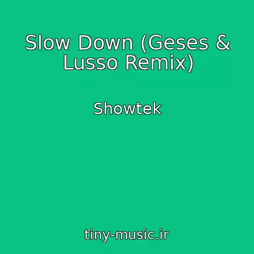 کاور آهنگ Slow Down (Geses & Lusso Remix) از Showtek