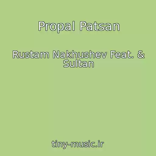 کاور آهنگ Propal Patsan از Rustam Nakhushev Feat. & Sultan