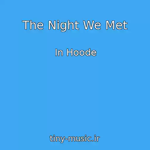 کاور آهنگ The Night We Met از In Hoode