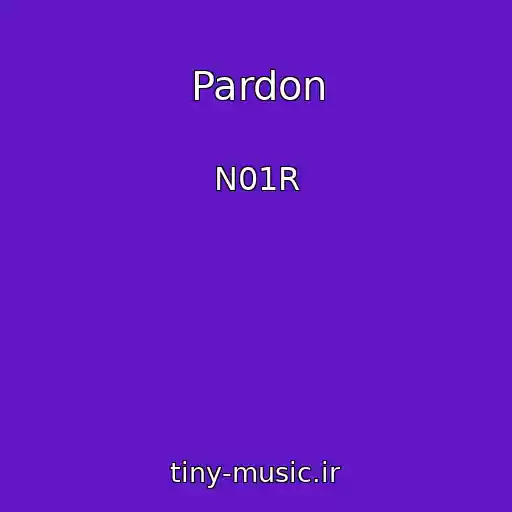 کاور آهنگ Pardon از N01R