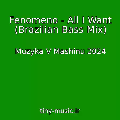 کاور آهنگ Fenomeno - All I Want (Brazilian Bass Mix) از Muzyka V Mashinu 2024