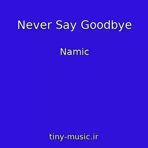کاور آهنگ Never Say Goodbye از Namic