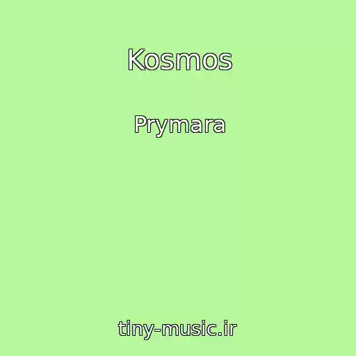 کاور آهنگ Kosmos از Prymara