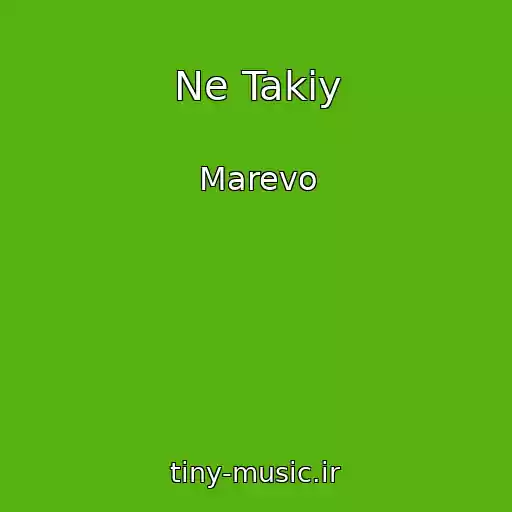 کاور آهنگ Ne Takiy از Marevo