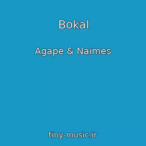 کاور آهنگ Bokal از Agape & Naimes