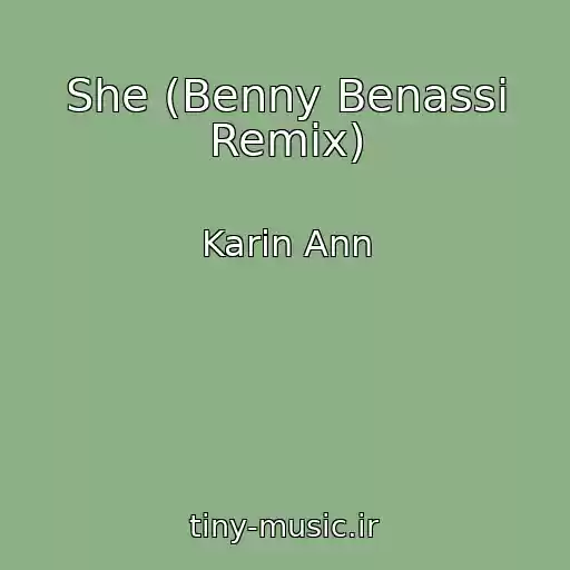 کاور آهنگ She (Benny Benassi Remix) از Karin Ann