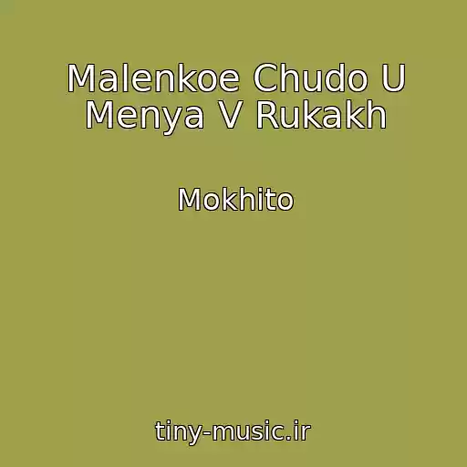 کاور آهنگ Malenkoe Chudo U Menya V Rukakh از Mokhito