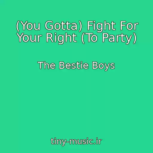 کاور آهنگ (You Gotta) Fight For Your Right (To Party) از The Bestie Boys