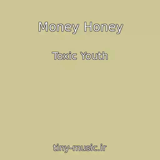 کاور آهنگ Money Honey از Toxic Youth