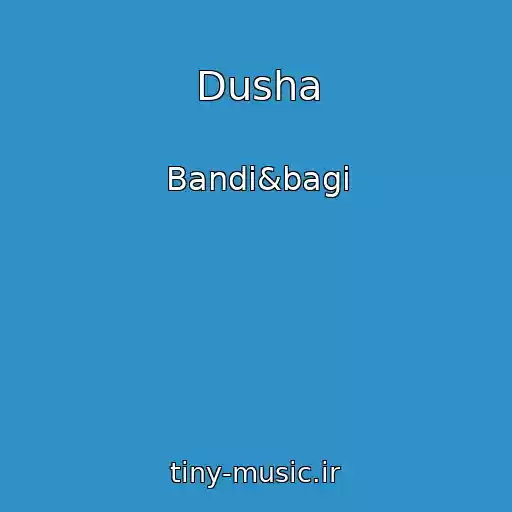 کاور آهنگ Dusha از Bandi&bagi