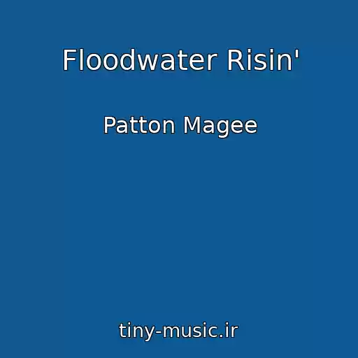 کاور آهنگ Floodwater Risin' از Patton Magee