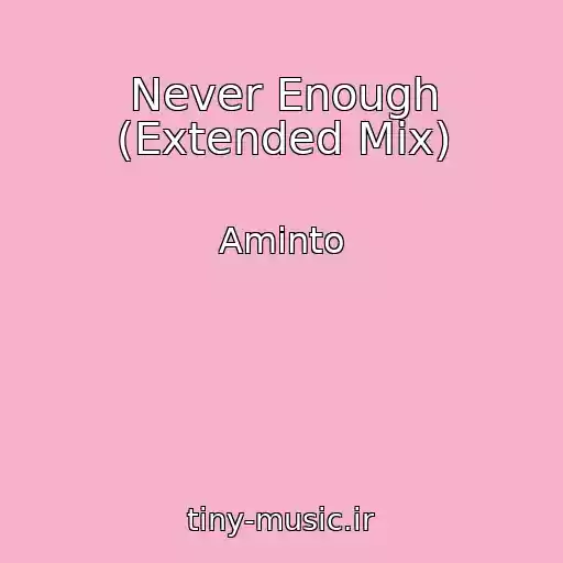 کاور آهنگ Never Enough (Extended Mix) از Aminto