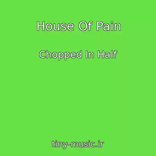 کاور آهنگ House Of Pain از Chopped In Half