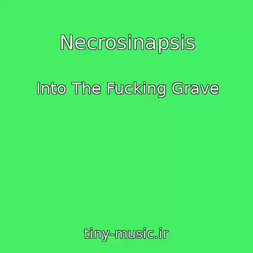 کاور آهنگ Necrosinapsis از Into The Fucking Grave