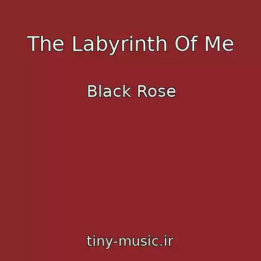 کاور آهنگ The Labyrinth Of Me از Black Rose