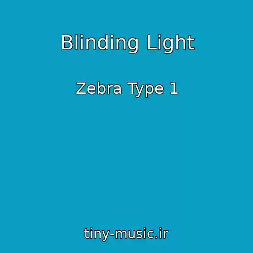 کاور آهنگ Blinding Light از Zebra Type 1