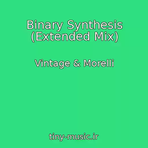 کاور آهنگ Binary Synthesis (Extended Mix) از Vintage & Morelli