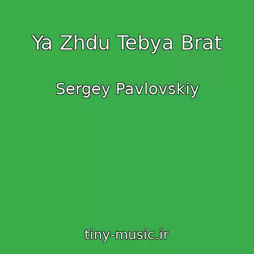 کاور آهنگ Ya Zhdu Tebya Brat از Sergey Pavlovskiy