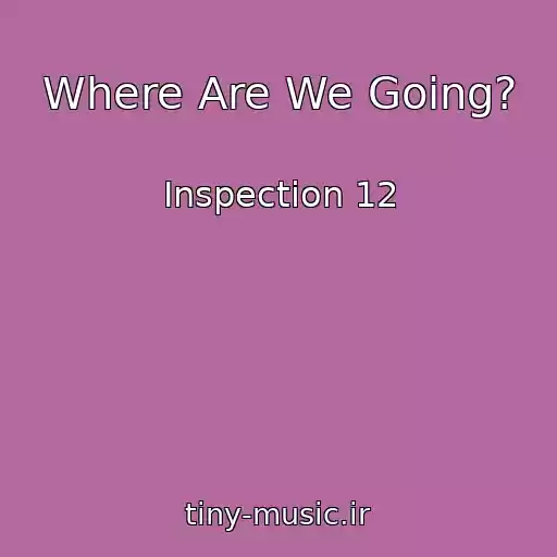 کاور آهنگ Where Are We Going? از Inspection 12