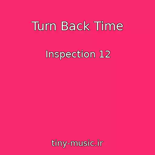 کاور آهنگ Turn Back Time از Inspection 12