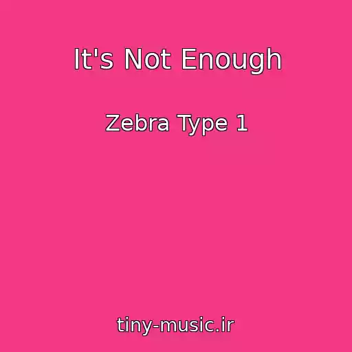 کاور آهنگ It's Not Enough از Zebra Type 1