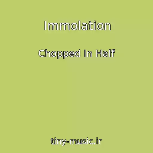 کاور آهنگ Immolation از Chopped In Half