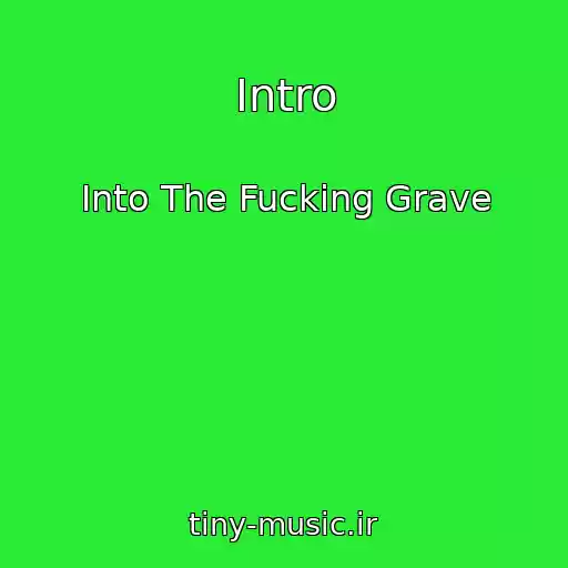 کاور آهنگ Intro از Into The Fucking Grave