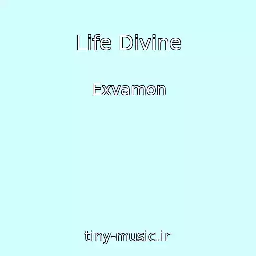 کاور آهنگ Life Divine از Exvamon
