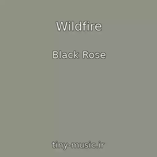 کاور آهنگ Wildfire از Black Rose