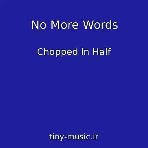 کاور آهنگ No More Words از Chopped In Half