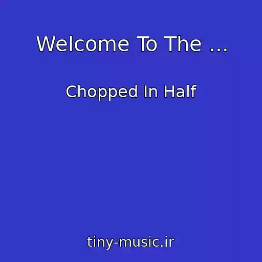 کاور آهنگ Welcome To The ... از Chopped In Half
