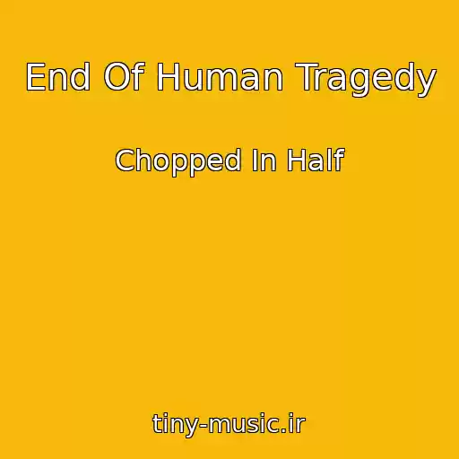 کاور آهنگ End Of Human Tragedy از Chopped In Half