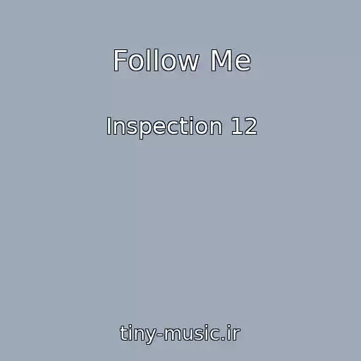 کاور آهنگ Follow Me از Inspection 12