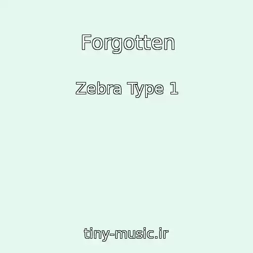 کاور آهنگ Forgotten از Zebra Type 1