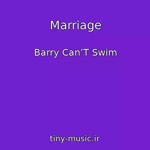 کاور آهنگ Marriage از Barry Can’T Swim