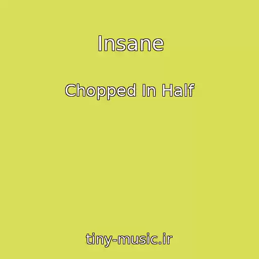 کاور آهنگ Insane از Chopped In Half