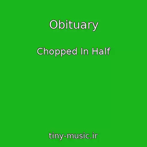 کاور آهنگ Obituary از Chopped In Half