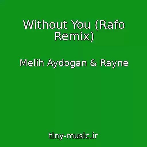 کاور آهنگ Without You (Rafo Remix) از Melih Aydogan & Rayne