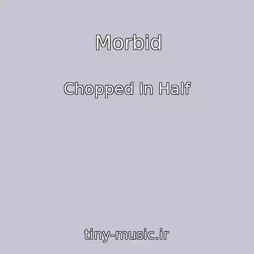 کاور آهنگ Morbid از Chopped In Half