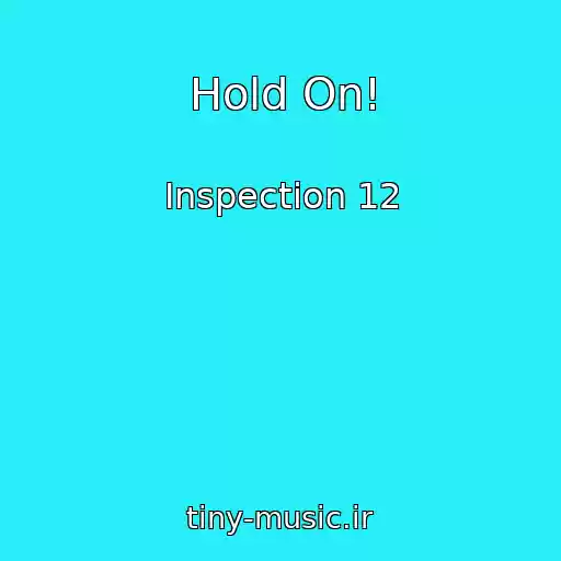 کاور آهنگ Hold On! از Inspection 12